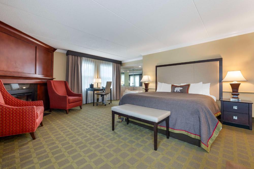 King Suite with Whirlpool and Sofa Bed - Fireplace interior